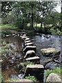 SX6774 : East Dart River Stepping Stones by Chris Thomas-Atkin