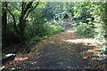 Path up to Castle Hill from Penpedairheol