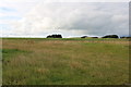 Farmland at Bankhead