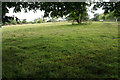 Field near Foxholes Farm