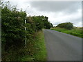 Moor Lane towards Scotton