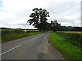 Minor road from Hackforth towards Little Crakehall