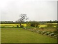 Farmland, Adwick Le Street