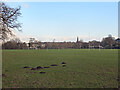 Sports pitches at Newbridge Fields