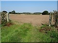 SO8346 : Gateway to an arable field by Philip Halling