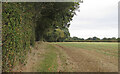 TQ5997 : Footpath on field boundary, Doddinghurst by Roger Jones
