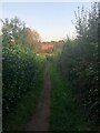 View along footpath near Alderley Edge