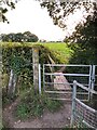 Footbridge across brook near Field