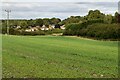 Crops near Halstead and Badgers Mount