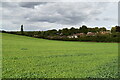 Arable landscape near Badgers Mount