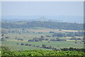 Walton Hill, with Glastonbury Tor beyond, seen from High Ham