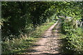 Canal towpath toward Outwood Cottages