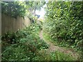 SW5433 : Overgrown bridleway near Trewinnard Manor by David Medcalf