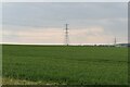 Pylons and farmland