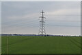 Pylon in arable landscape