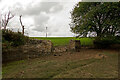 SS5233 : A wall & gate which separate a field from the salt marsh near Penhill by Roger A Smith