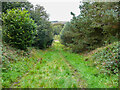 Bridleway from Bullhouse to Lee :Lane