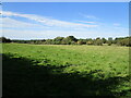 Grass field off Northfield Road