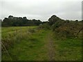 The bridlepath near Battery Mill