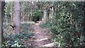 Path through Roundhill Wood heading to Shire Lane