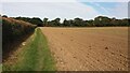 Path heading to Chesham Road