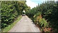 Restricted byway and drive up to Lodge Farm