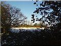 Greatwood Farm seen over the hedge from Priesthorpe Lane