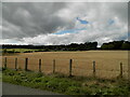 Crops in field at Balmore