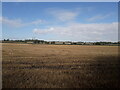 Across a field of stubble towards the A4169