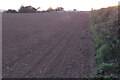 Footpath to the farm