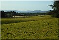 Fields at Dumgoyne