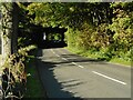 A patch of woodland on the A875