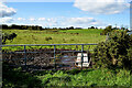 Muddy behind field entrance, Dromore Middle