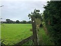 Footpath skirting Clayton Greaves Farm