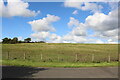 Farmland at Fenwick