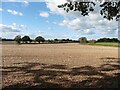 Arable land, north of Penmore Road