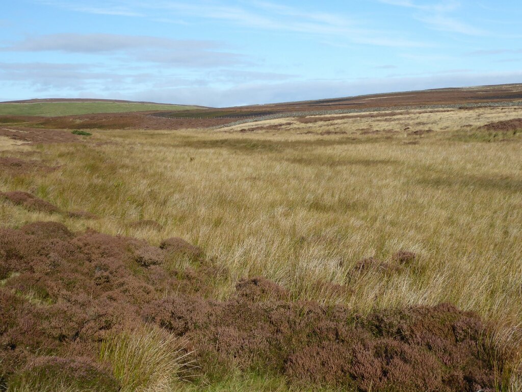 Marshy Ground Russel Wills Geograph Britain And Ireland