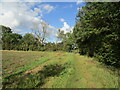 Bridleway to Mawsley