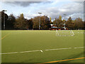 SP2864 : Goals and seagulls, Henry VIII all-weather pitch, St Nicholas Park, Warwick by Robin Stott