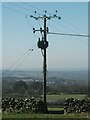 Electricity Pole in field, Llanllechid