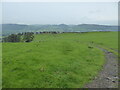 Sheep pastures above Moeliwrch farm, Llansilin