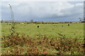 Farmland above Cheddar Gorge