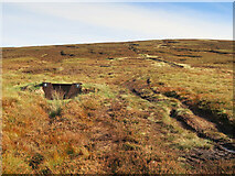 NT3643 : Grouse Butts on Windlestraw Law by wrobison