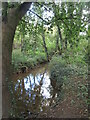 Stream between Pytchley and Orlingbury