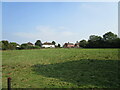 Grass field at Throckmorton