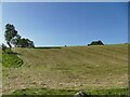 Mown field at Derry Hill