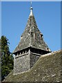 SO2767 : Spire of St David's church, Whitton by Philip Halling