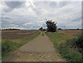 Field track west of Creeton Road