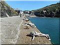 SW6617 : Ropes on the wall, Mullion Cove by Des Blenkinsopp