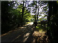 Footpath to the B1115 Hadleigh Road